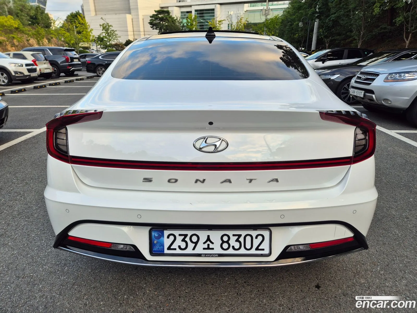 Korex Auto Trade - фотография 11772635