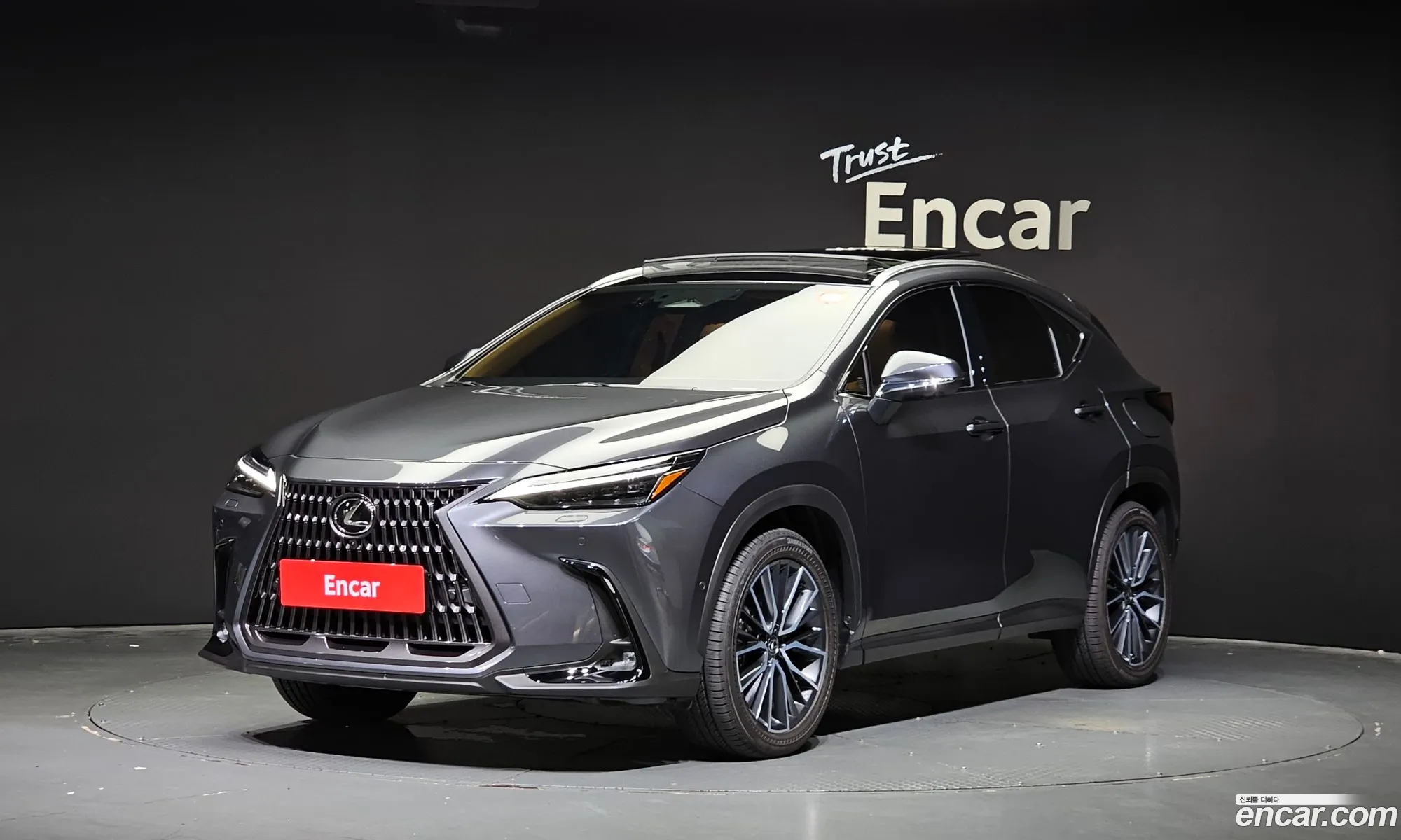 Lexus Nx350H 2Nd Generation Luxury - фотография 6539227