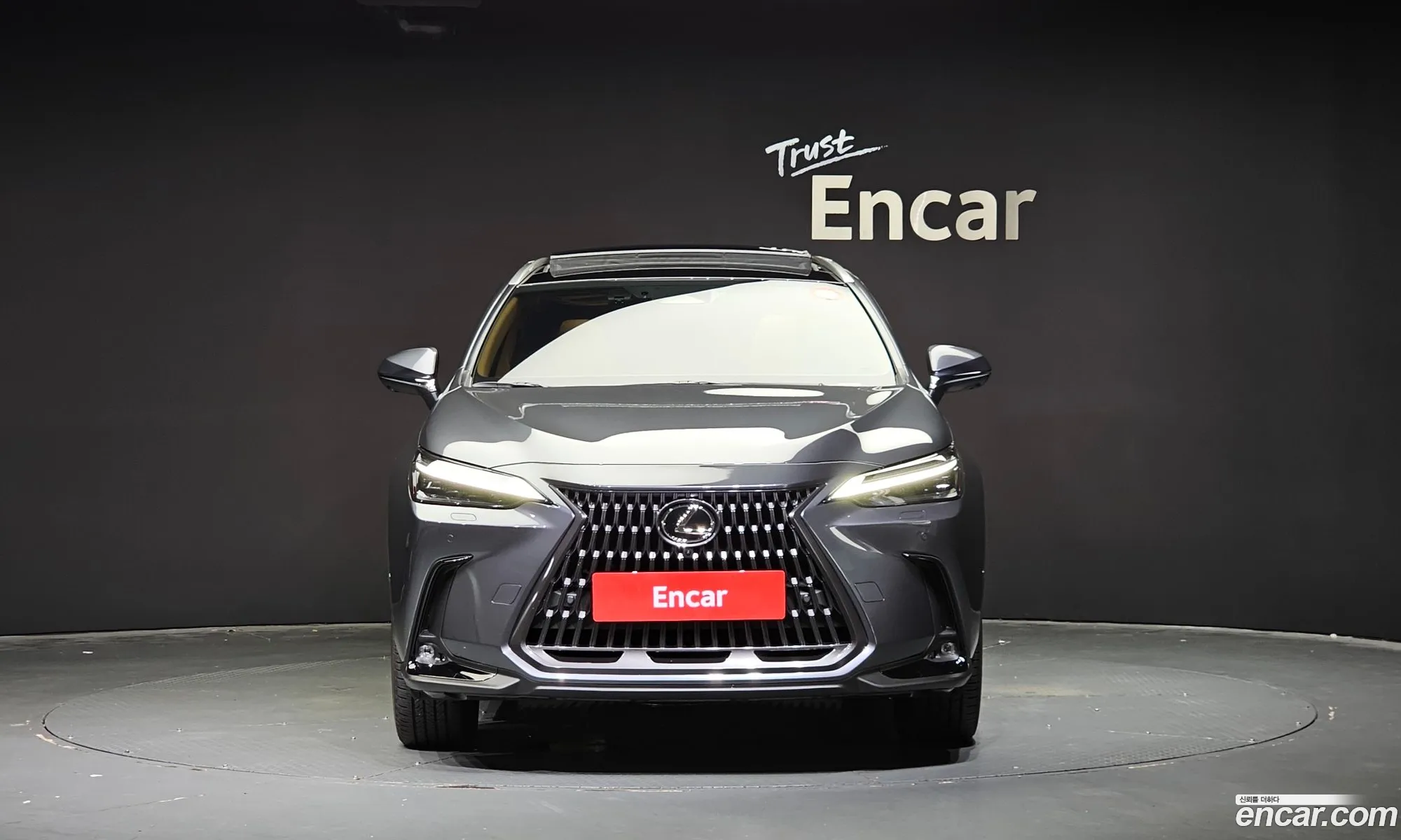 Lexus Nx350H 2Nd Generation Luxury - фотография 6539229