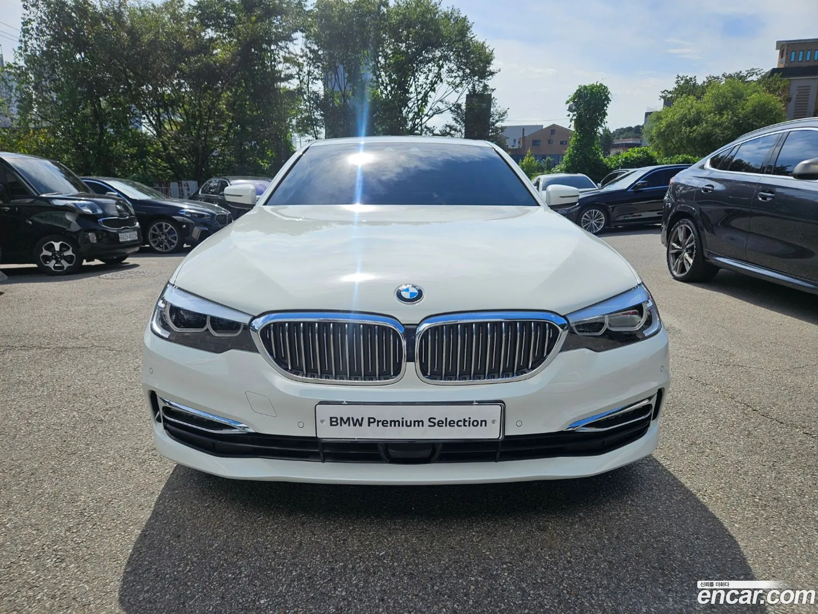 BMW 5 Series G30 520I Luxury - фотография 892359