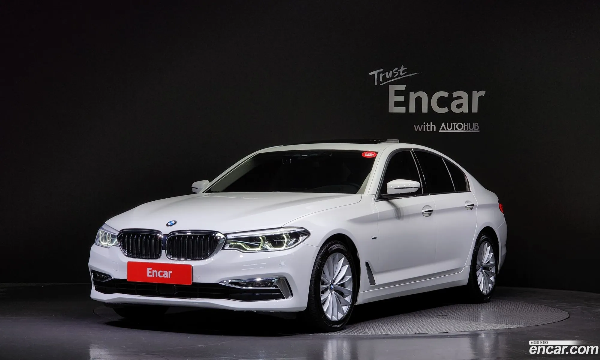 BMW 5 Series G30 530I Luxury Plus - фотография 903499