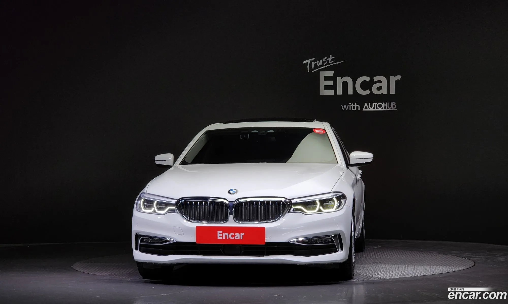 BMW 5 Series G30 530I Luxury Plus - фотография 903501