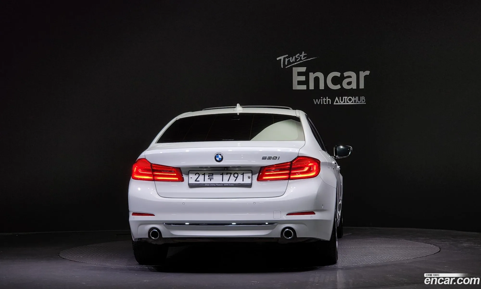 BMW 5 Series G30 530I Luxury Plus - фотография 903502