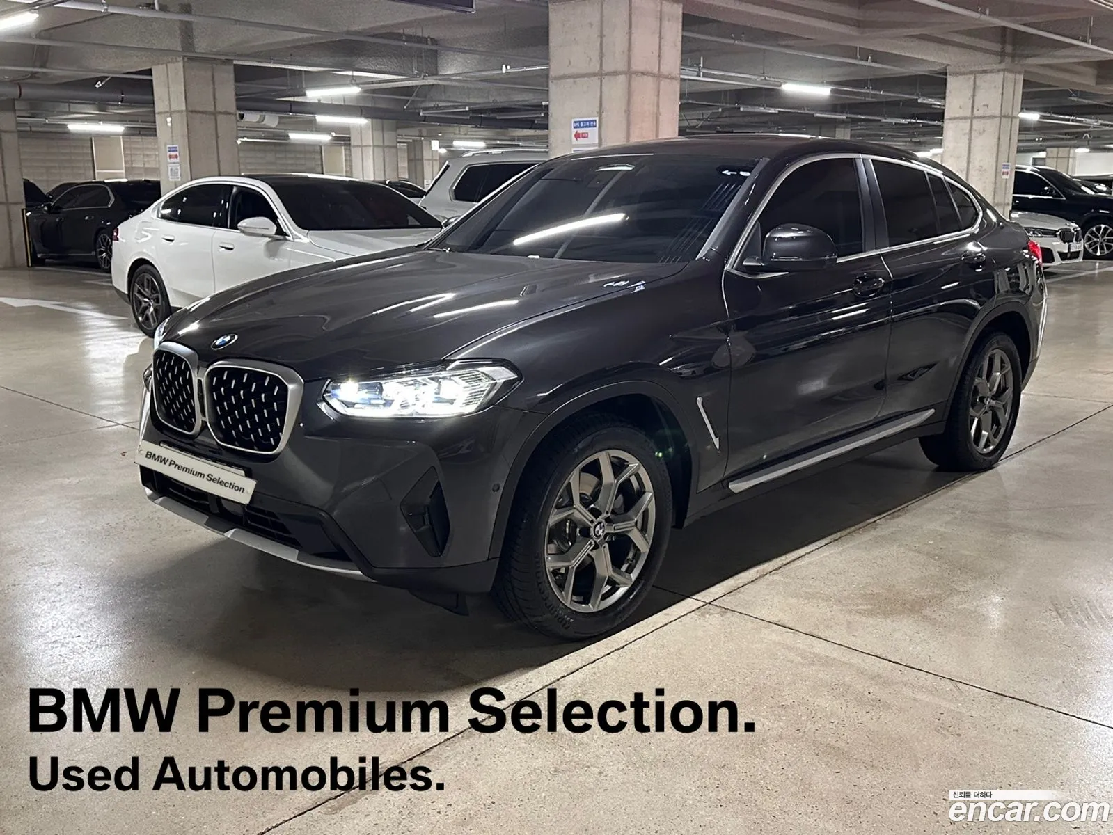 BMW X4 G02 xDrive20I Xline - фотография 11808450
