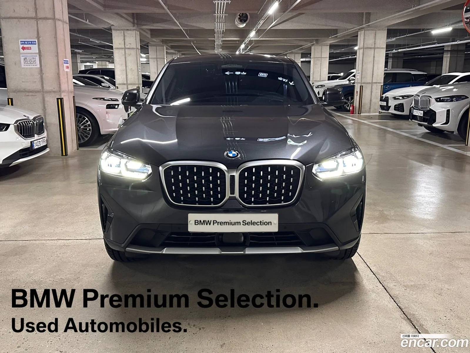 BMW X4 G02 xDrive20I Xline - фотография 11808452