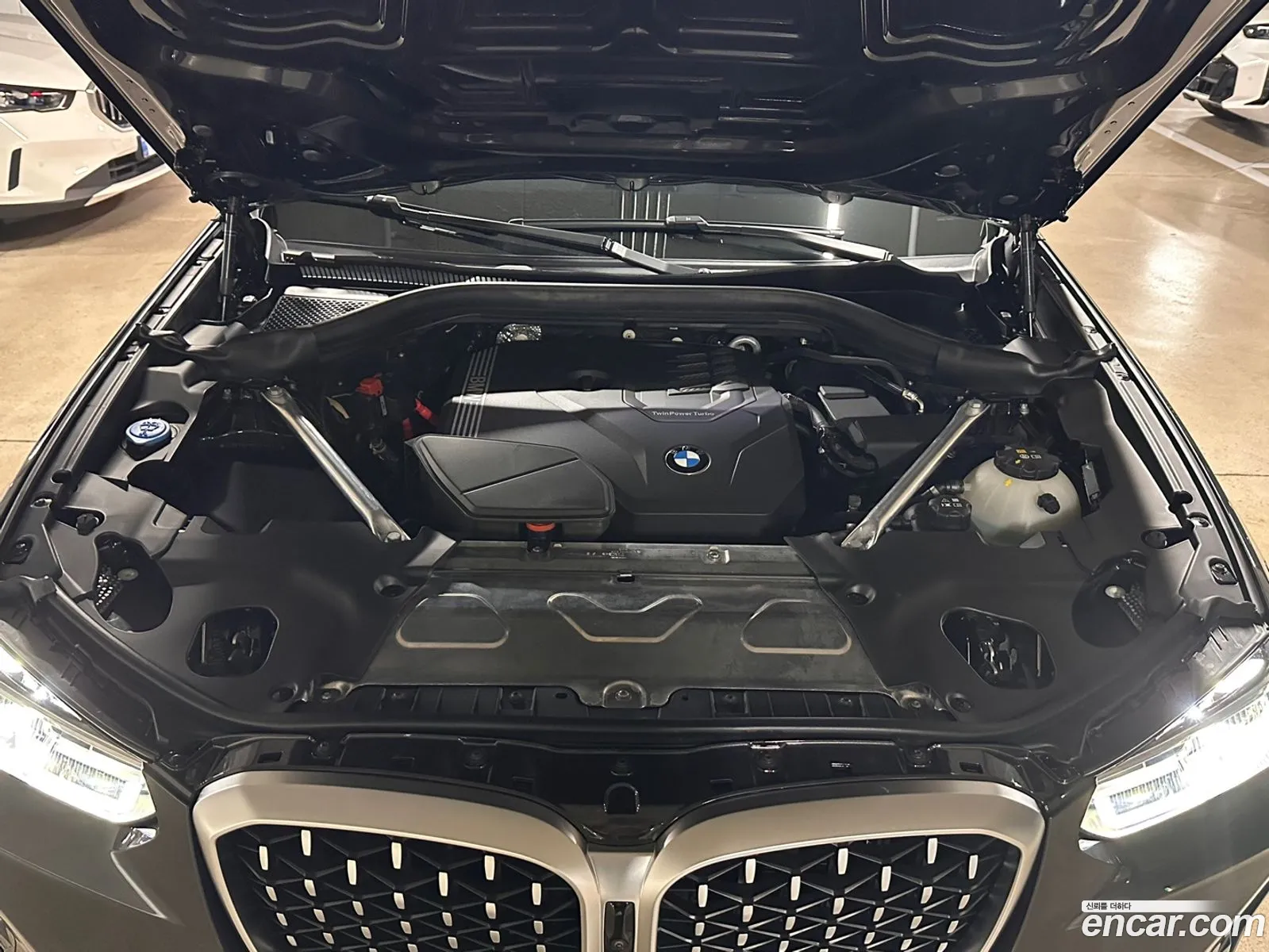 BMW X4 G02 xDrive20I Xline - фотография 11808455