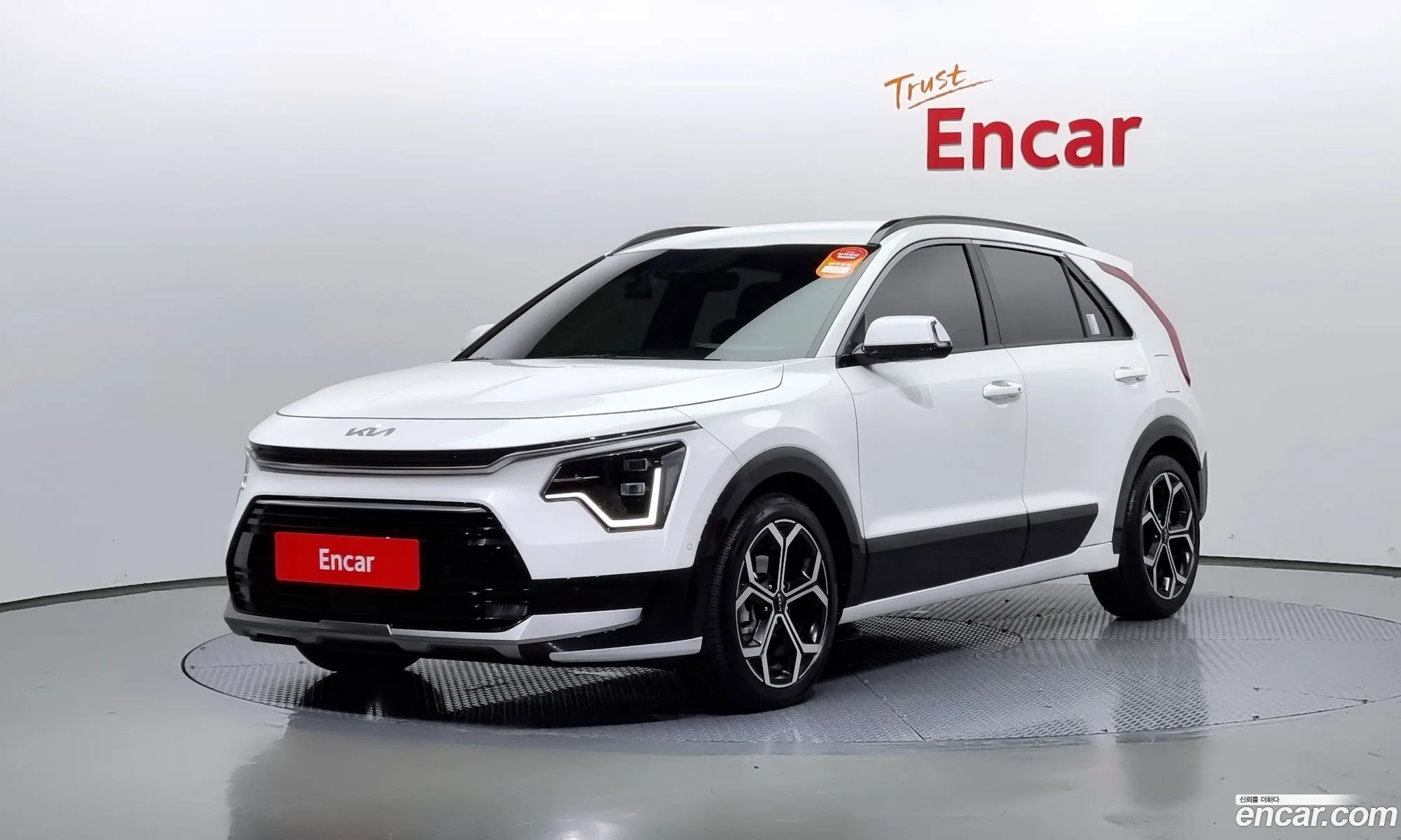 Dail New Niro Signature - фотография 12538773