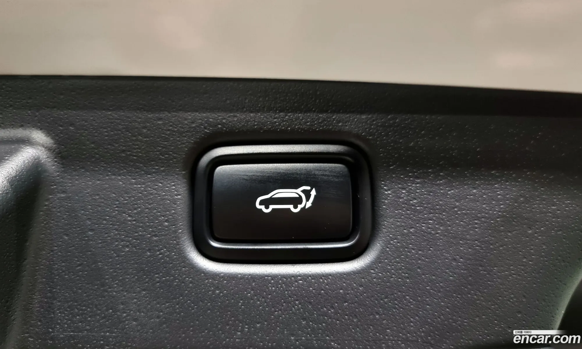 Dail New Niro Signature - фотография 12538774