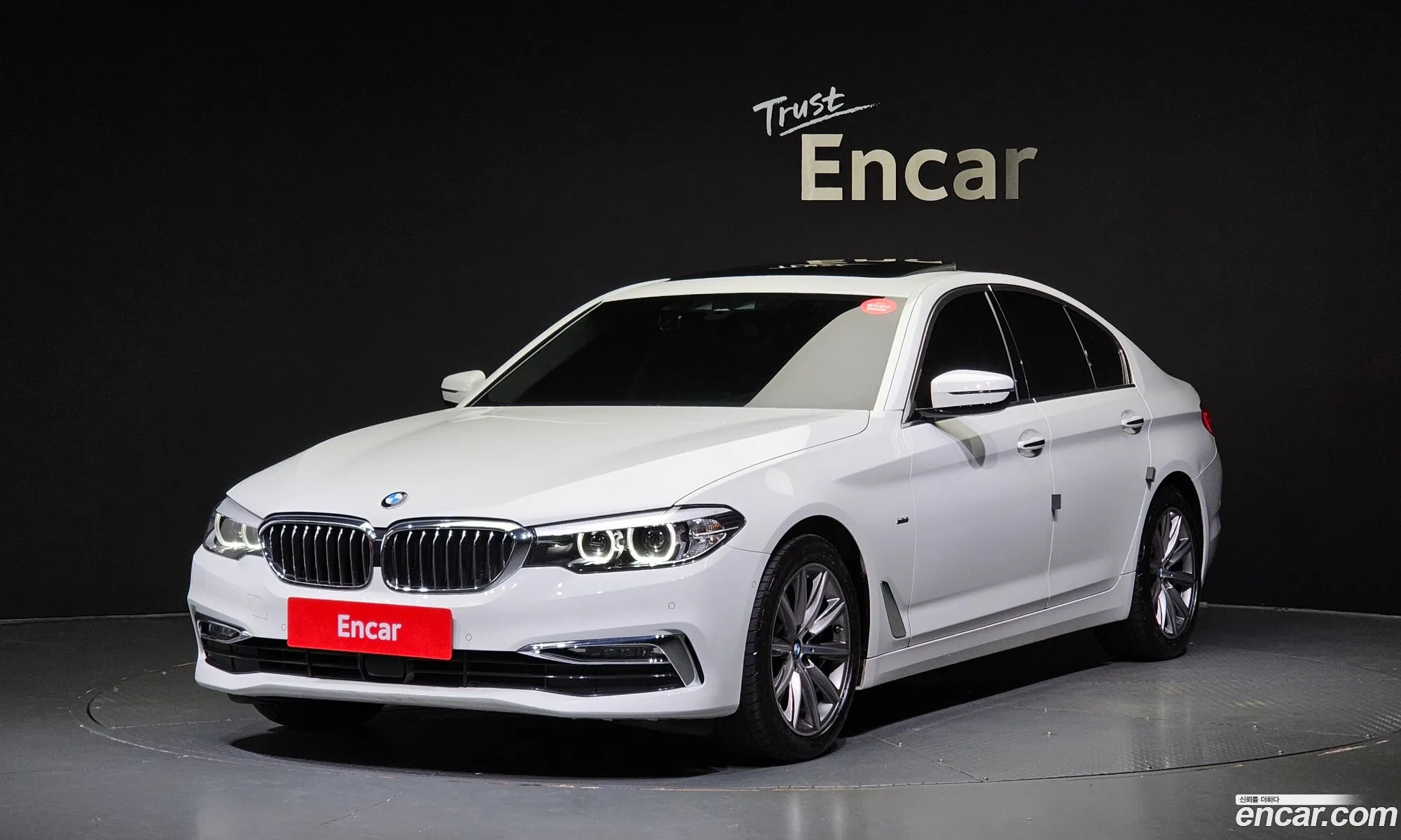 BMW 5 Series G30 520I Luxury - фотография 1202986