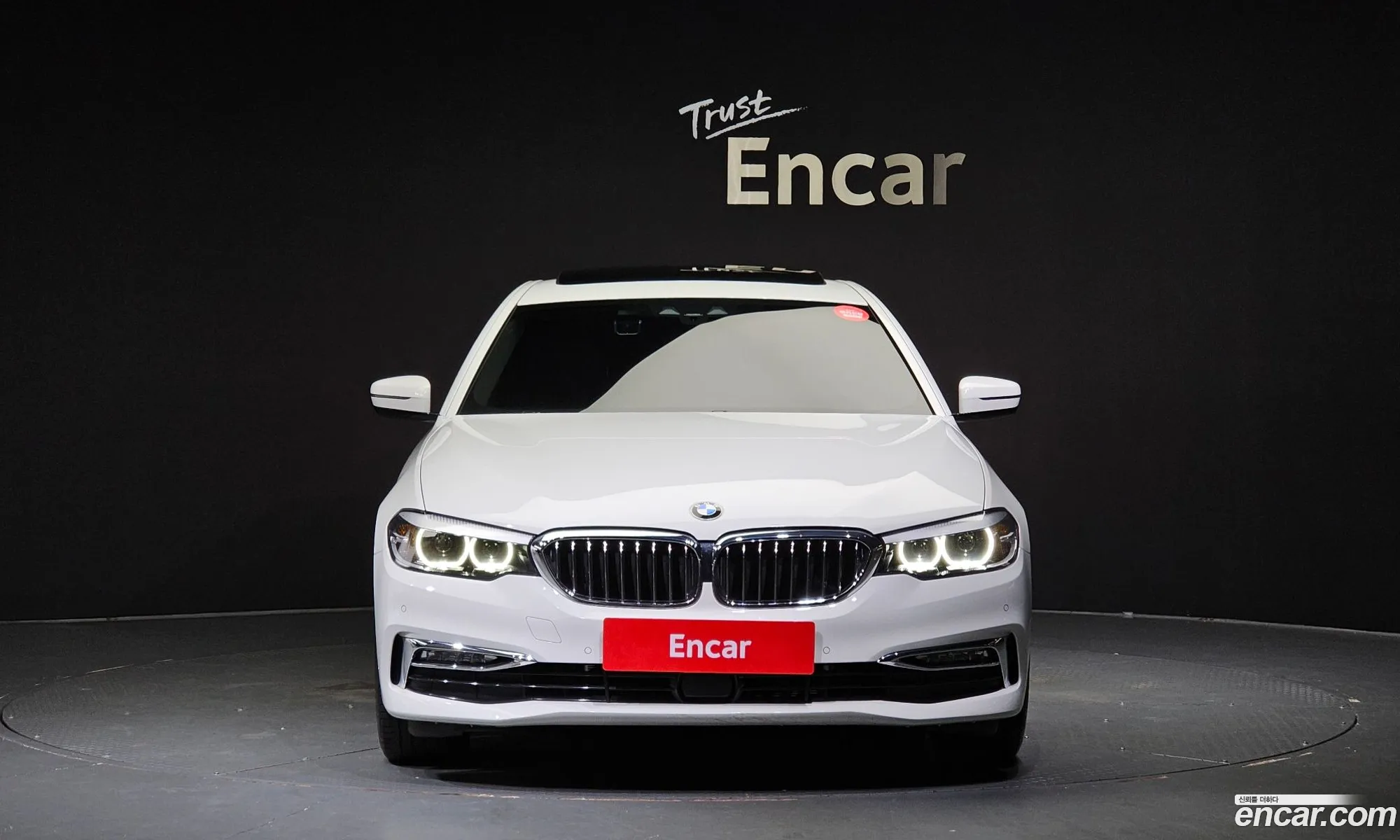 BMW 5 Series G30 520I Luxury - фотография 1202988
