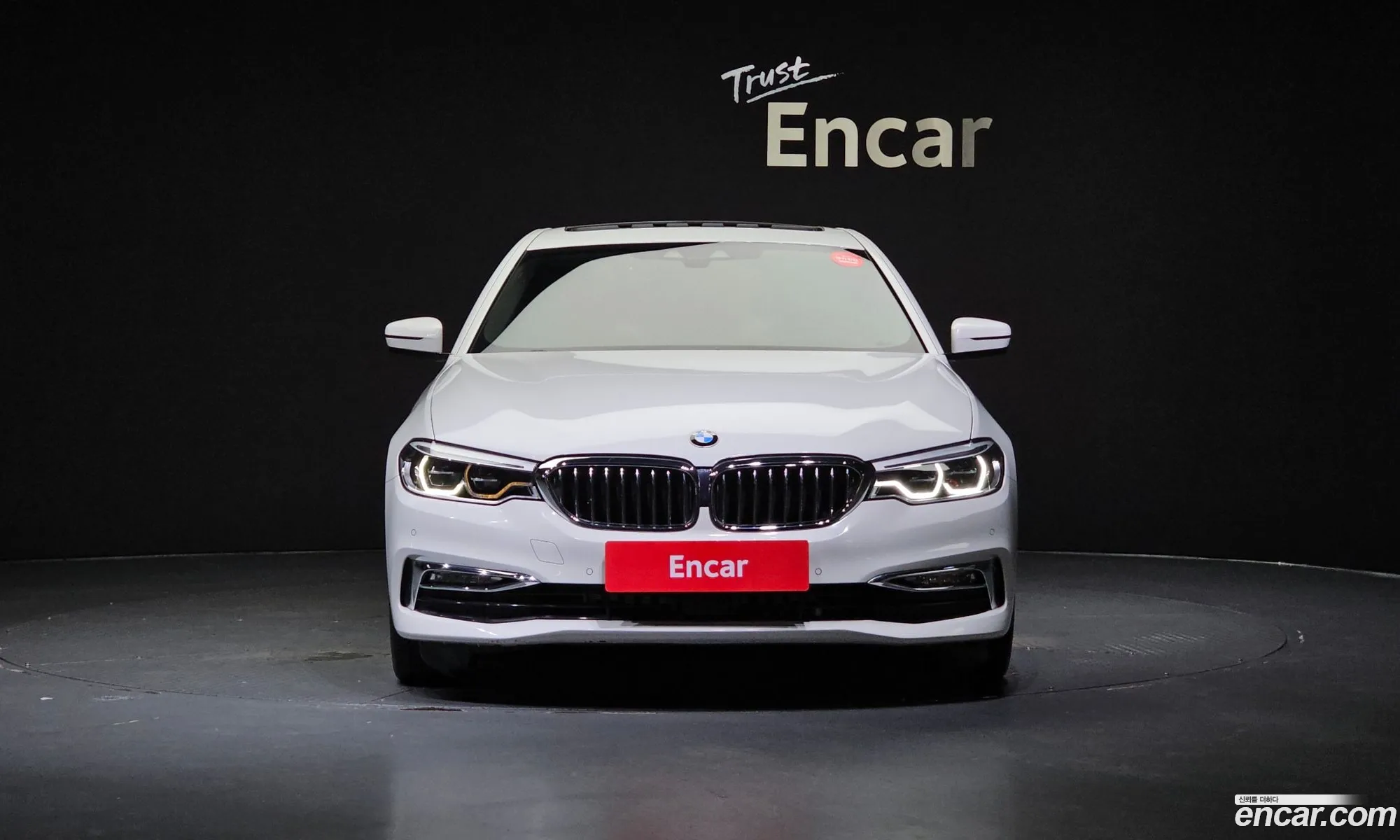 BMW 5 Series G30 530I Luxury Plus - фотография 954604