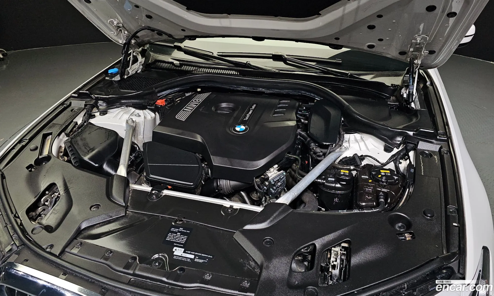 BMW 5 Series G30 530I Luxury Plus - фотография 954607