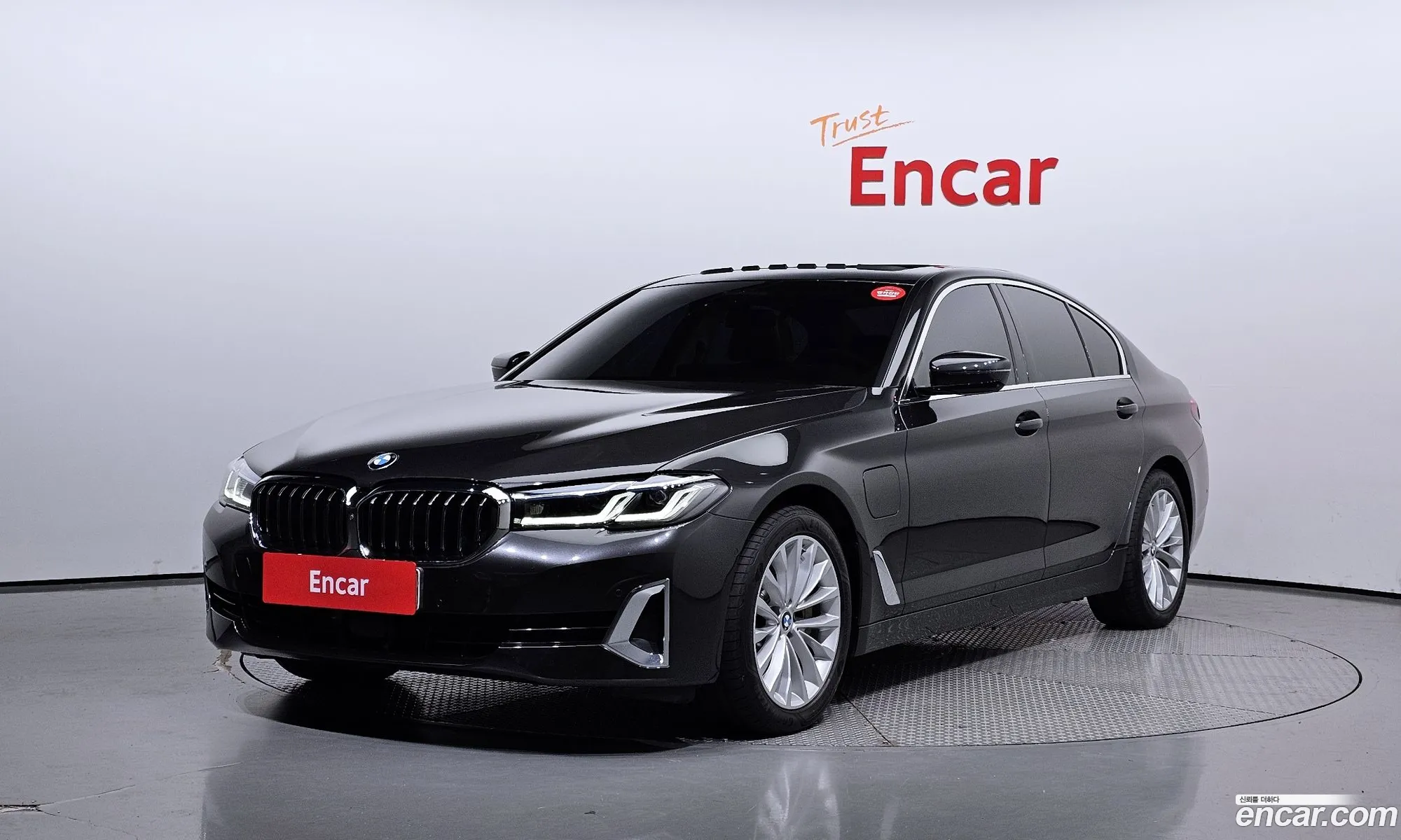 BMW 5 Series G30 530E Luxury - фотография 12415033