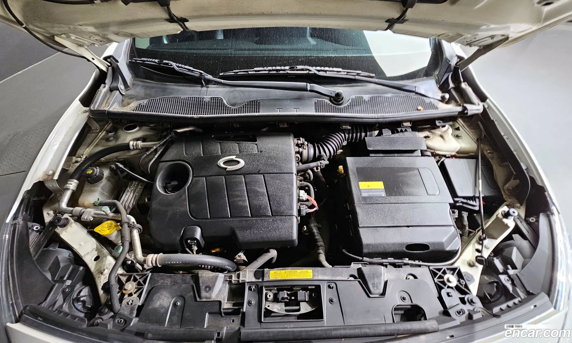 Korex Auto Trade - фотография 11205955