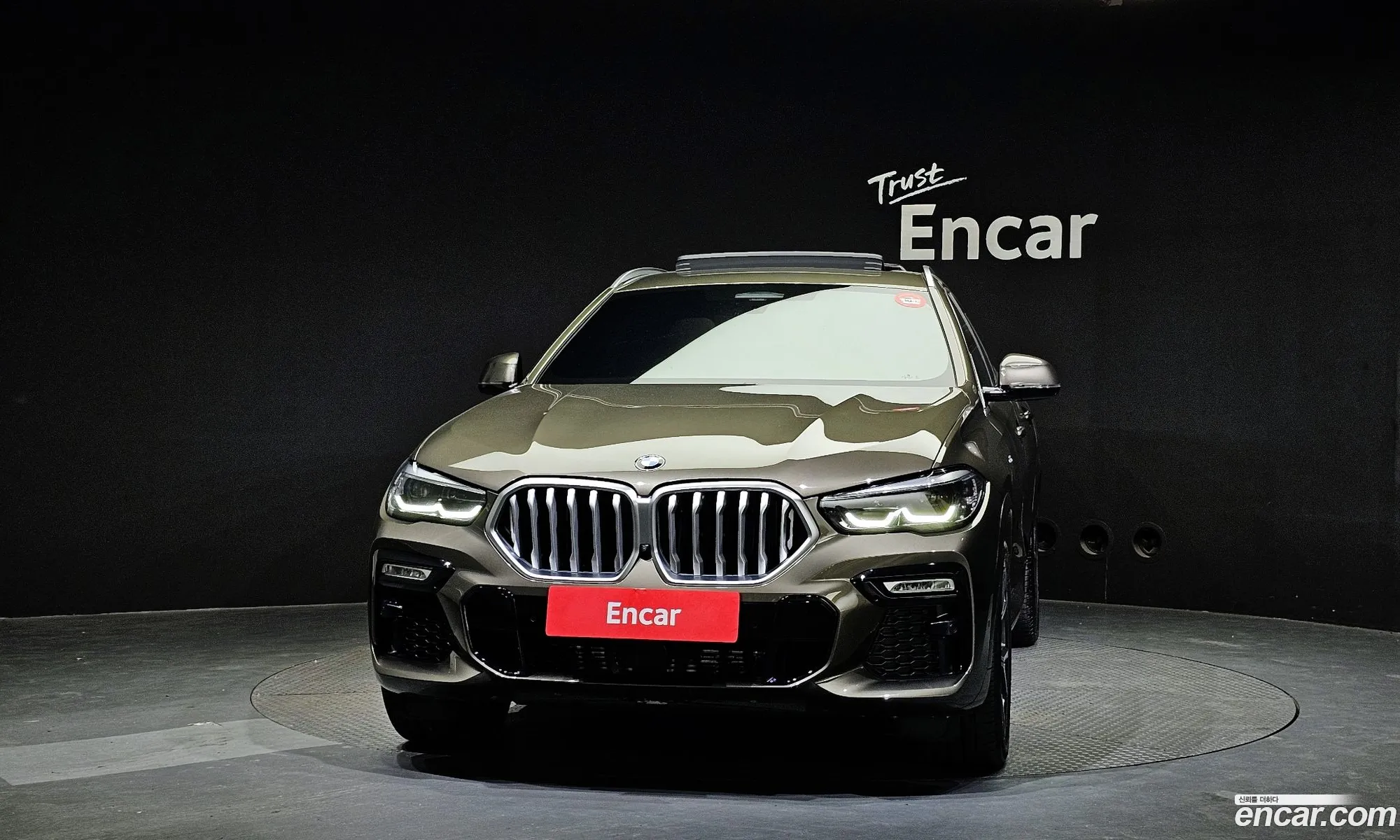 BMW X6 G06 xDrive30D M Sports - фотография 1003125