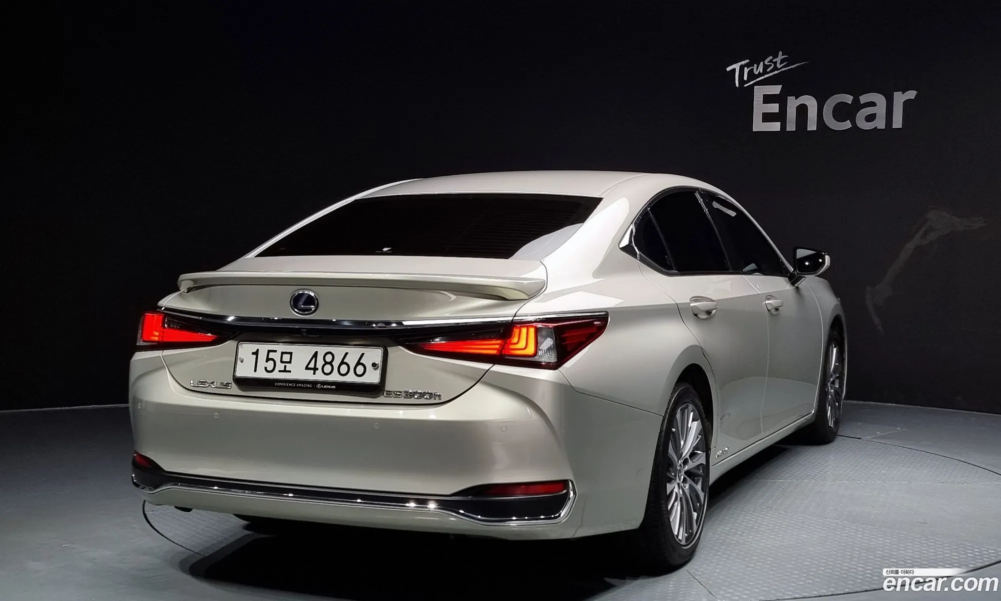 Lexus Es300H 7Th Generation Luxury - фотография 6583651