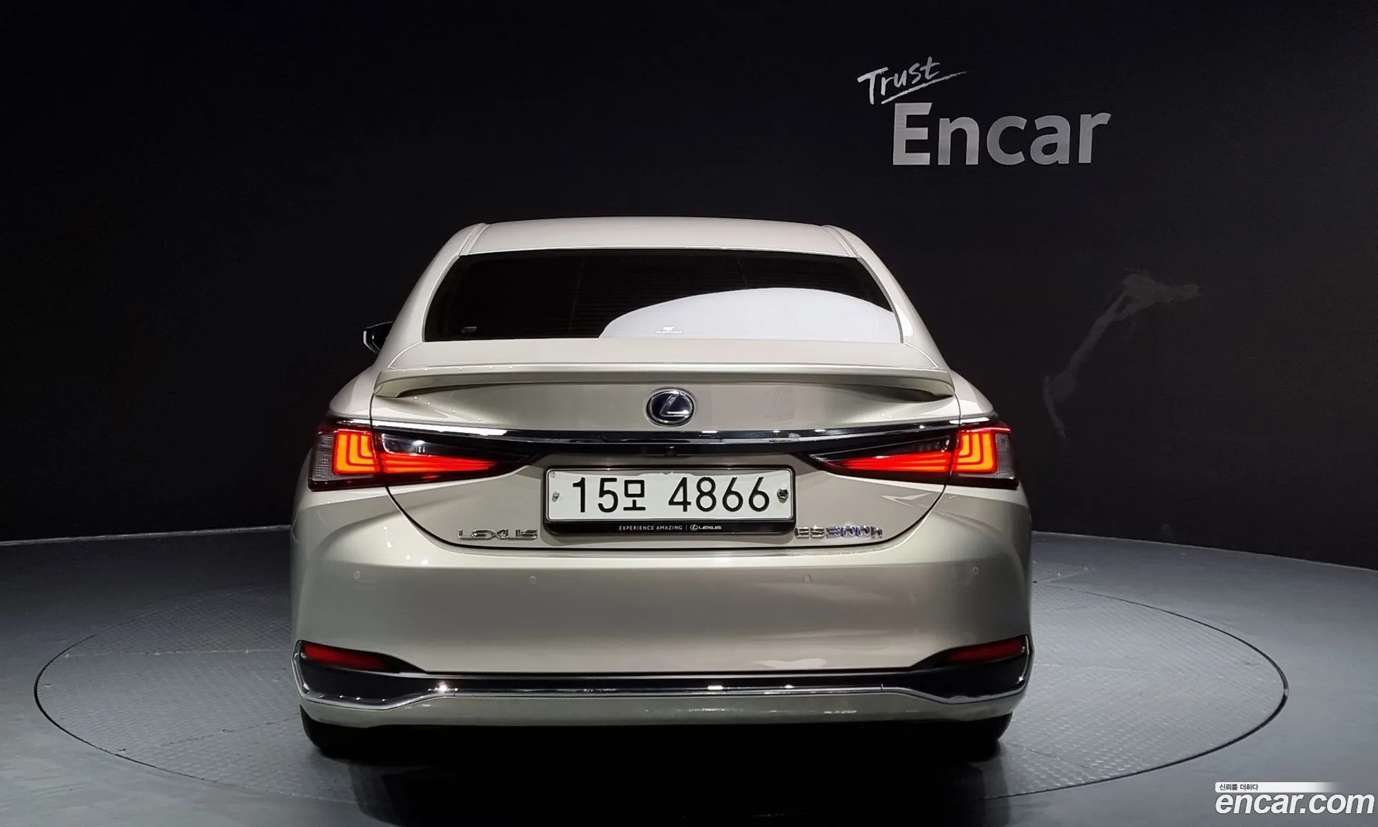 Lexus Es300H 7Th Generation Luxury - фотография 6583653