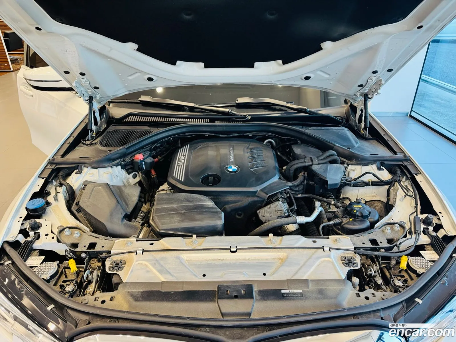 Korex Auto Trade - фотография 956336