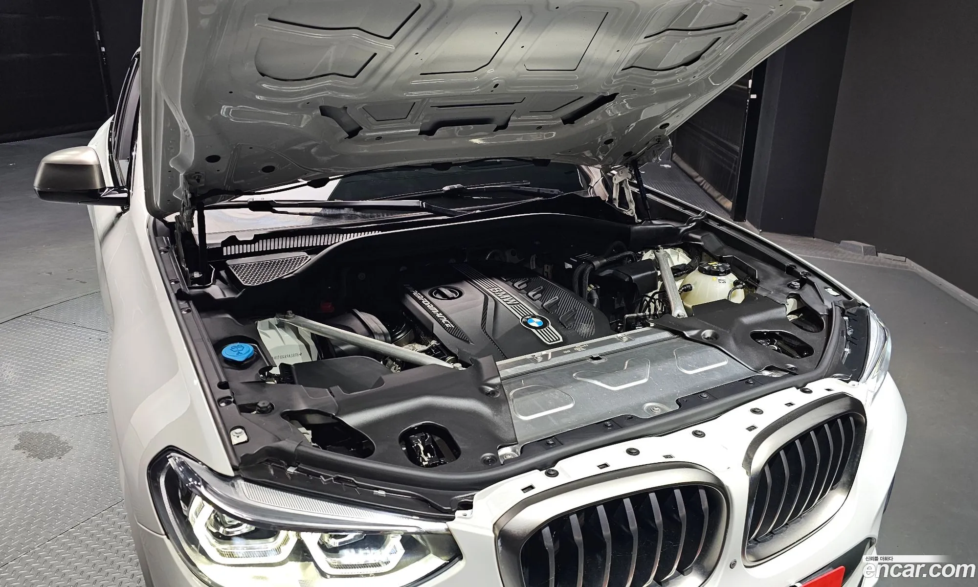 BMW X4 G02 xDrive M40D - фотография 1082467