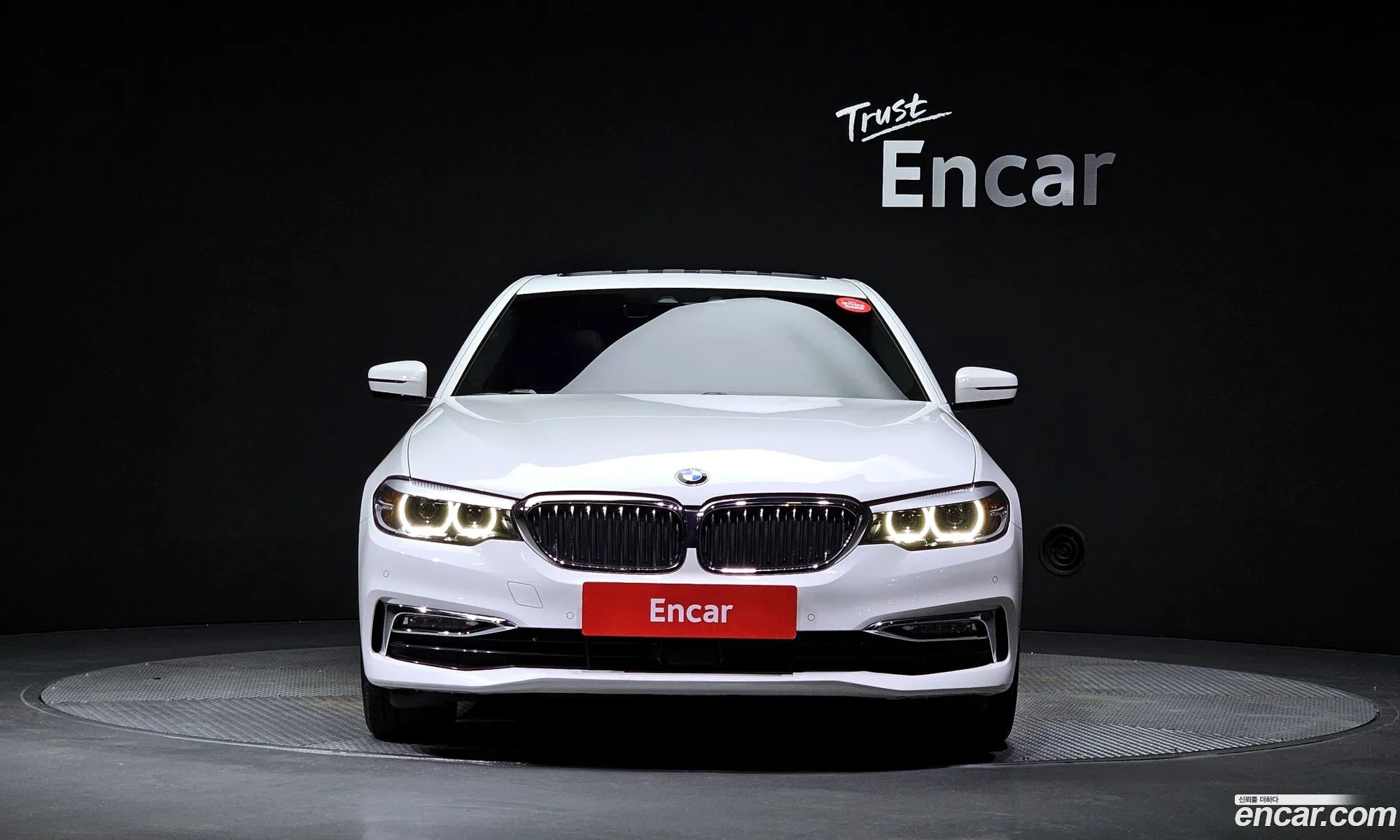 BMW 5 Series G30 520I Luxury - фотография 1051131