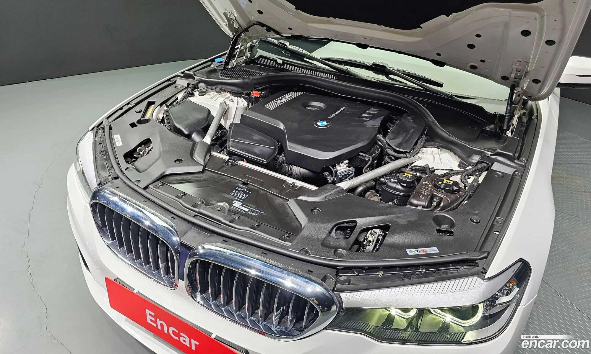 BMW 5 Series G30 520I Luxury - фотография 1051134