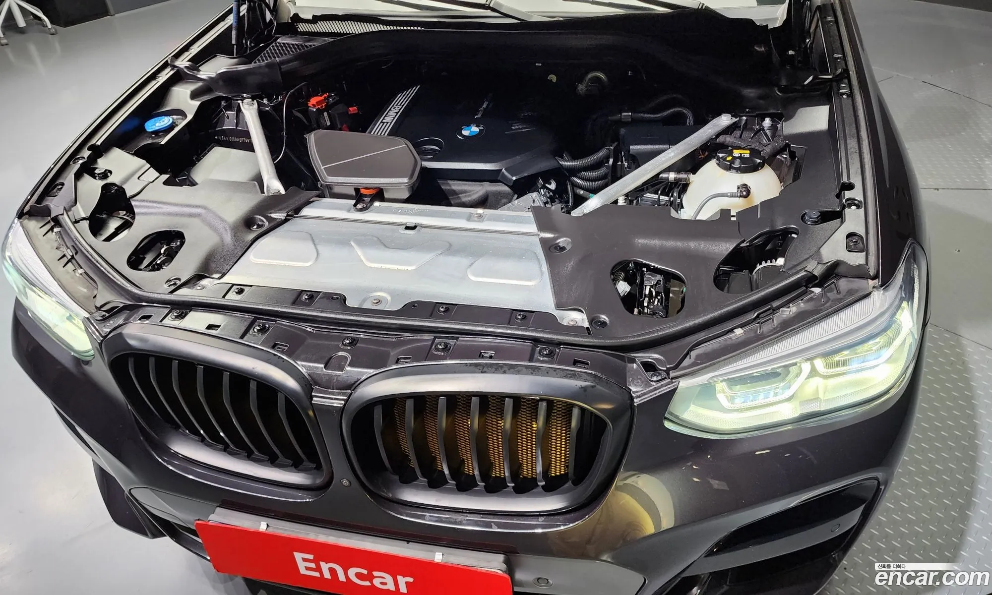 BMW X4 G02 xDrive20D M Sport - фотография 1220338