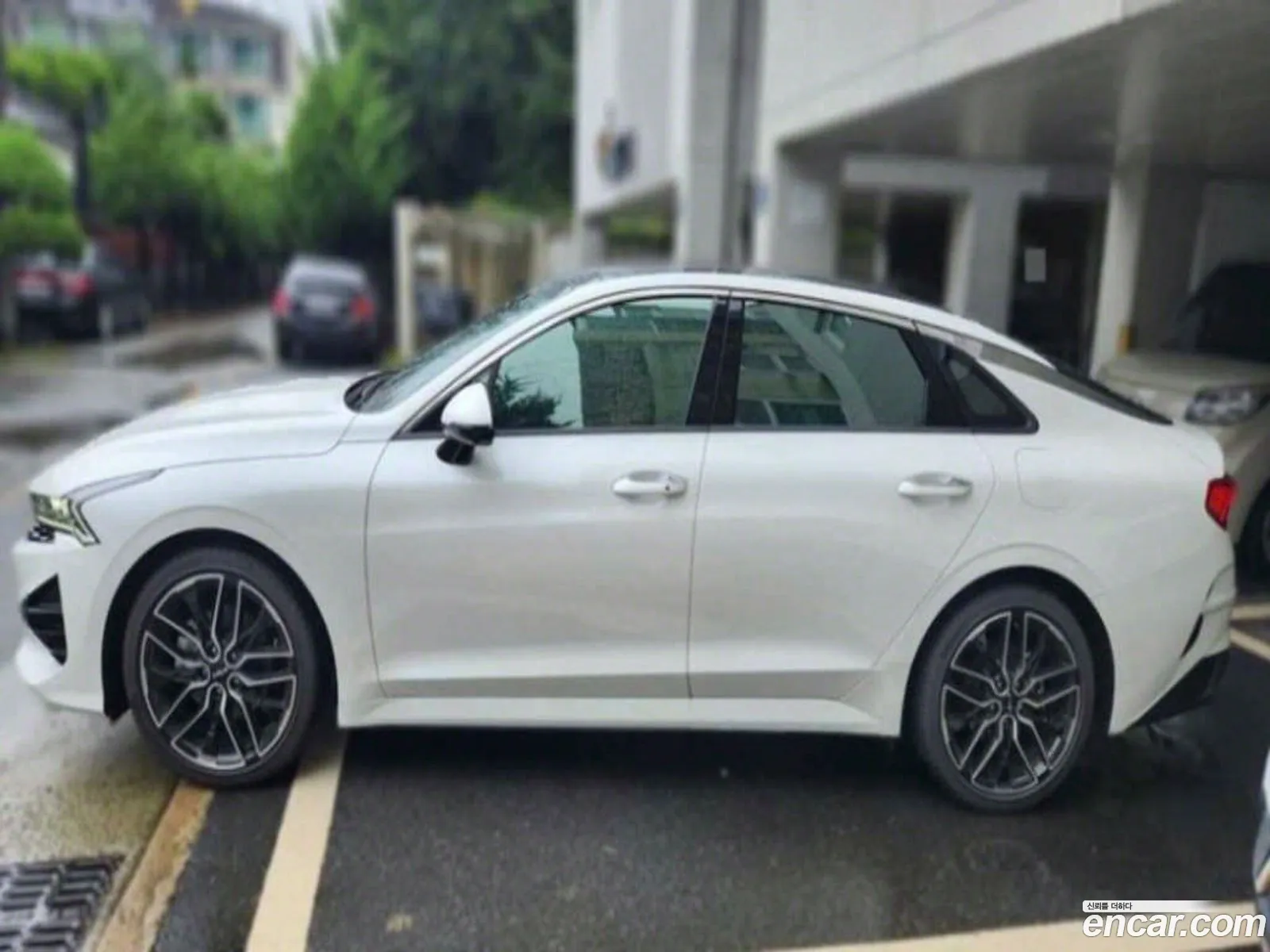 Kia K5 3Rd Generation 16 Turbo Noblesse - фотография 14283758