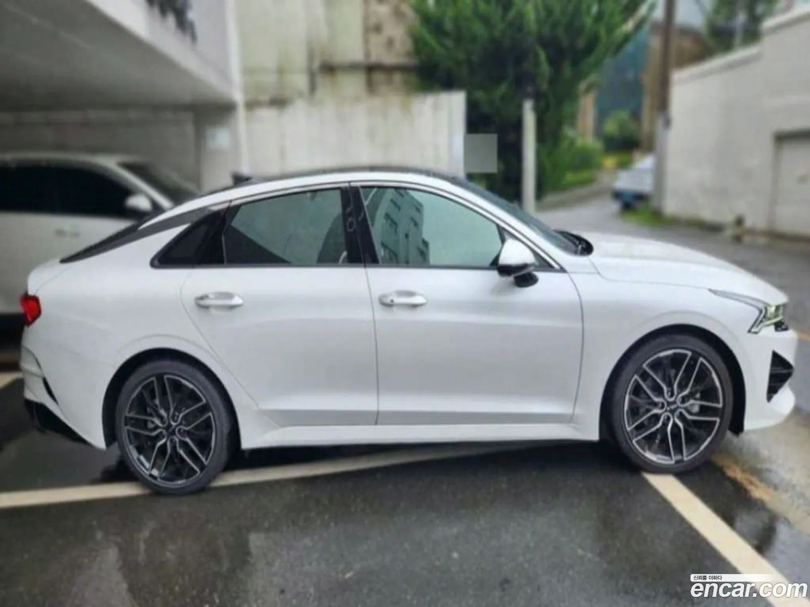 Kia K5 3Rd Generation 16 Turbo Noblesse - фотография 14283759