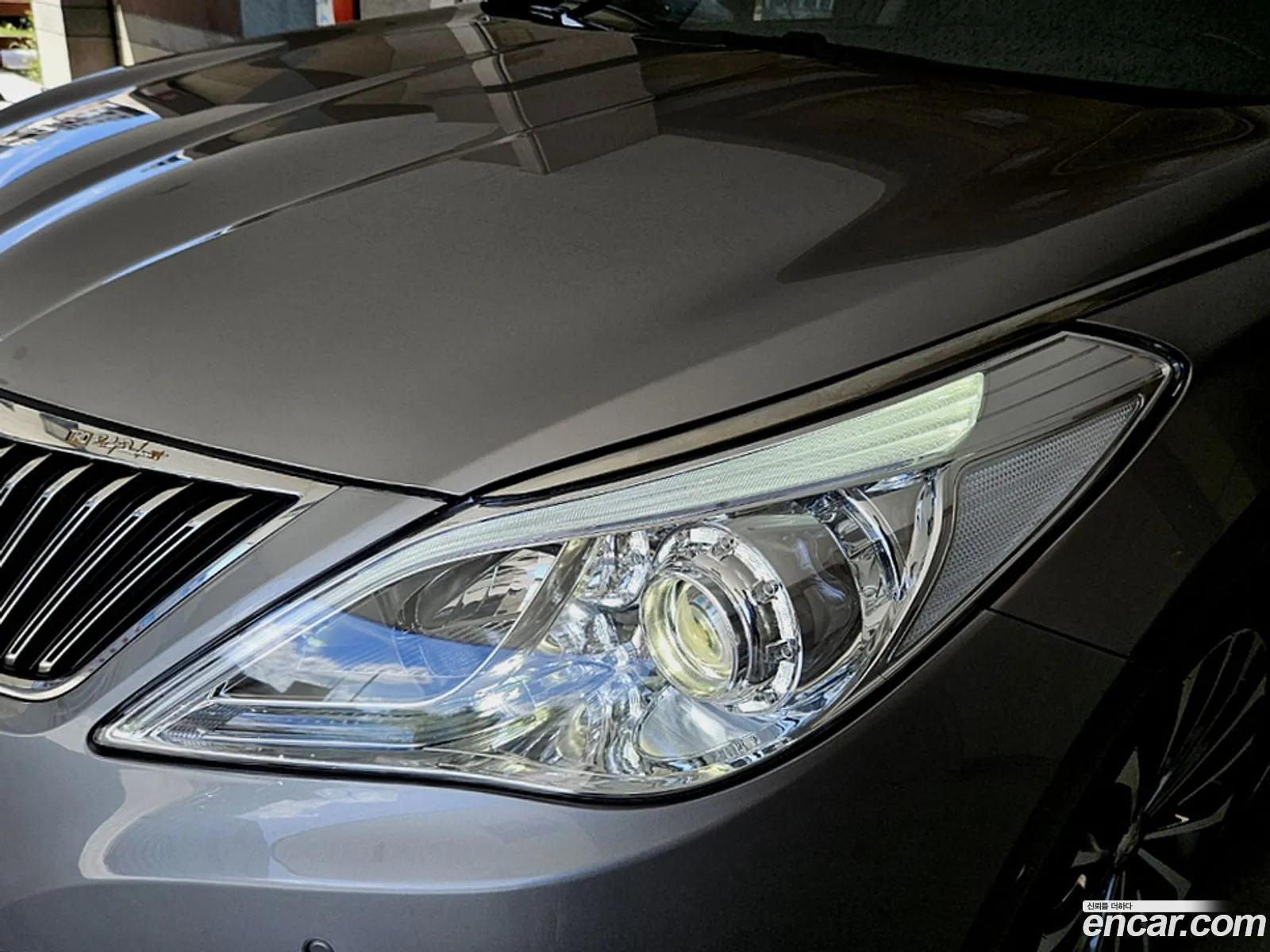 Korex Auto Trade - фотография 14446266
