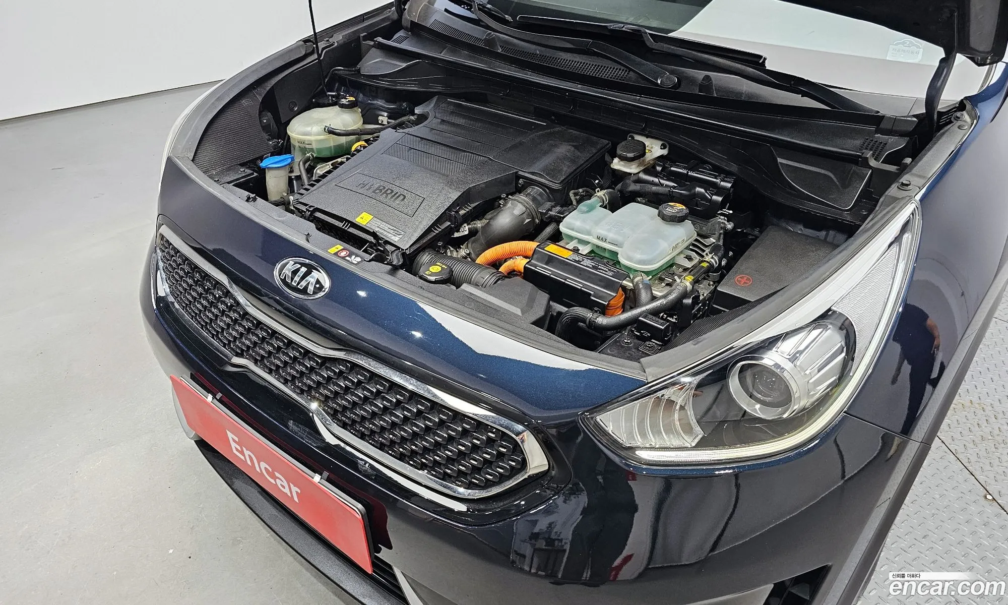 Kia Niro Luxury - фотография 13697286