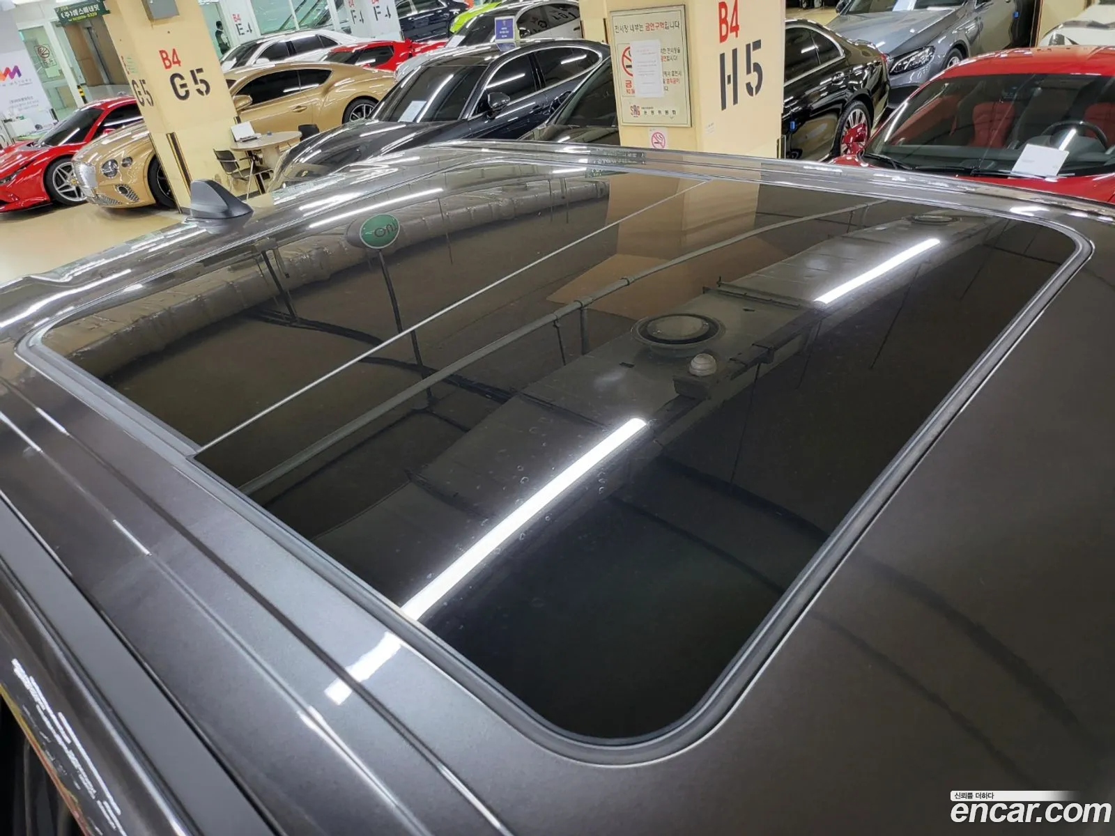 Korex Auto Trade - фотография 12668223