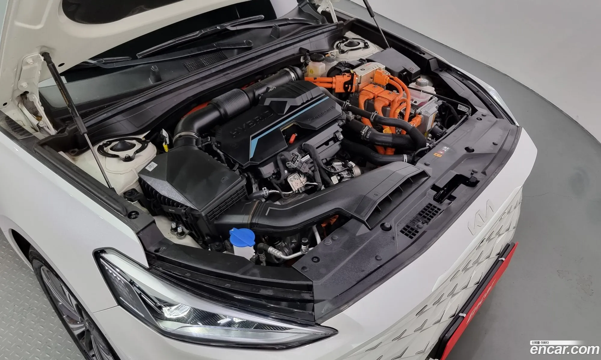 Kia K8 Hybrid Signature - фотография 13922270