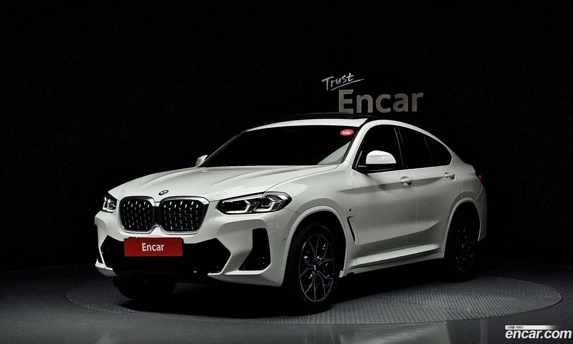 BMW X4 G02 xDrive20I M Sports - фотография 1108629