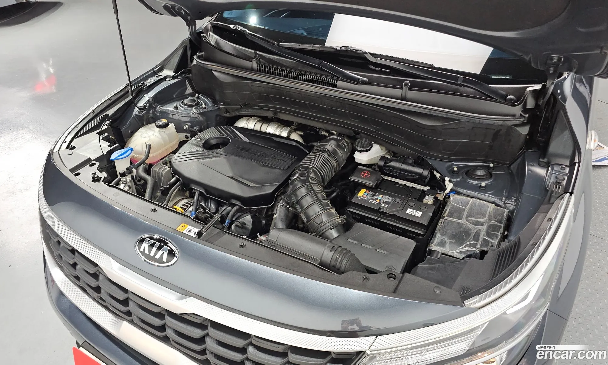 Kia Seltos Gasoline 16 Turbo 2Wd Trendy - фотография 13654280