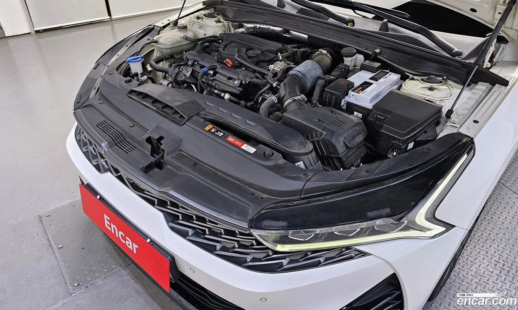 Kia K5 3Rd Generation 16 Turbo Signature - фотография 13990431