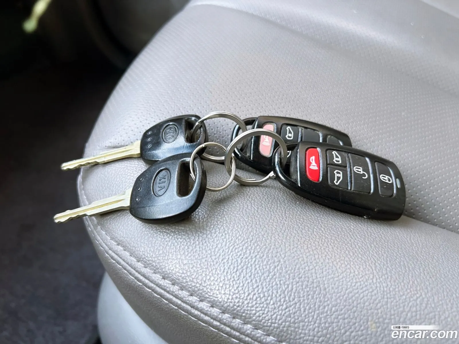 Korex Auto Trade - фотография 12565880