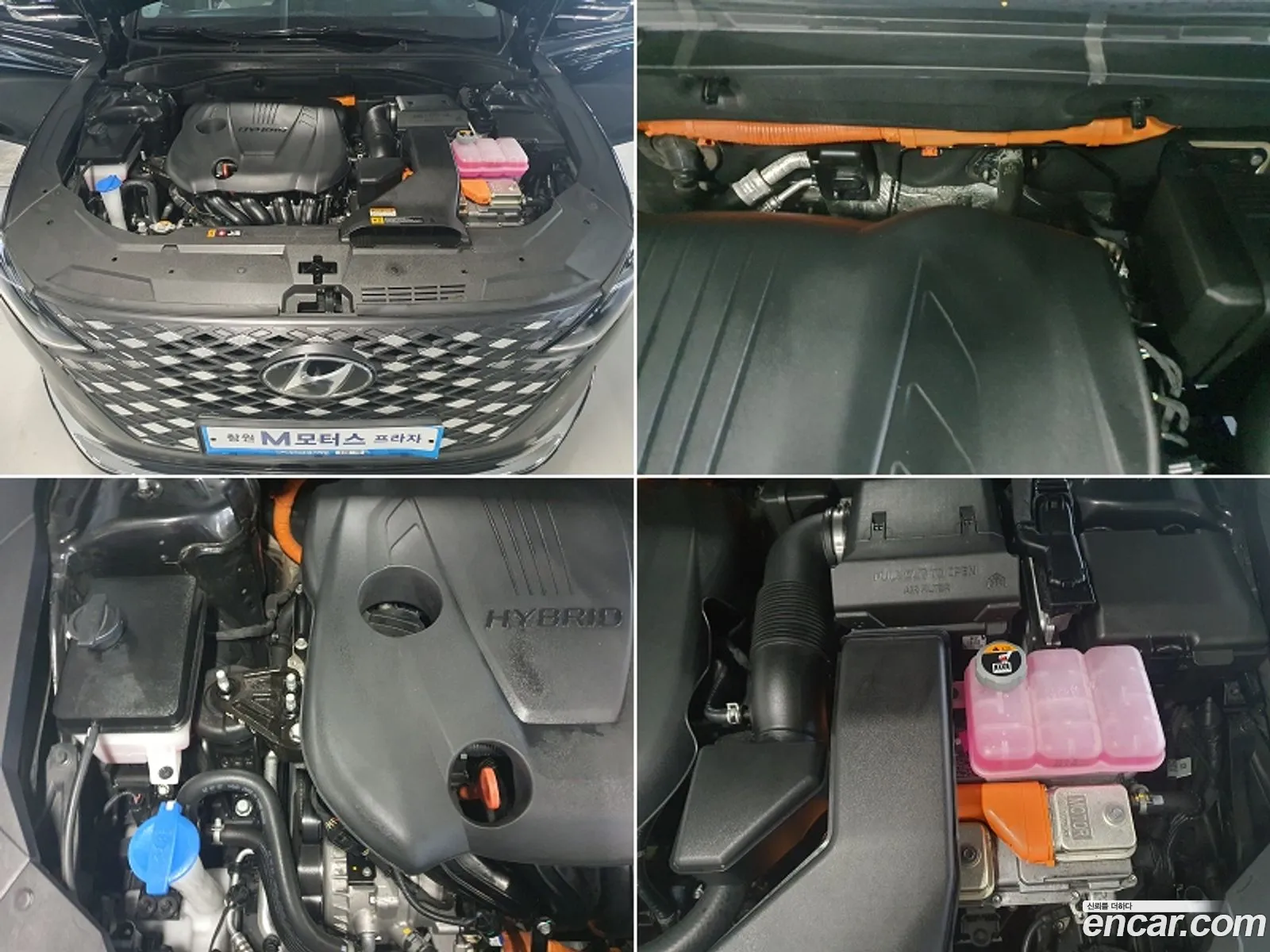 Korex Auto Trade - фотография 14023359
