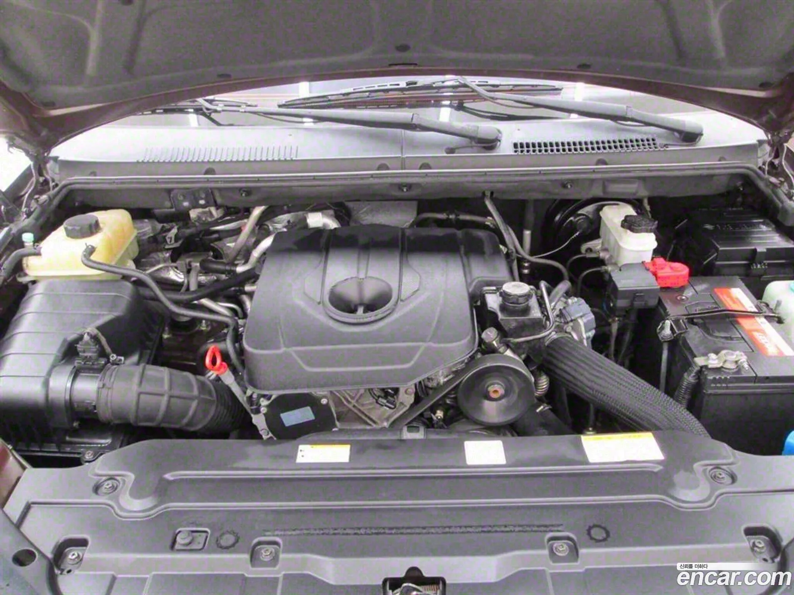 Kg Mobility Ssangyong Korando Turismo 2Wd Extreme 11-Seater - фотография 6919115