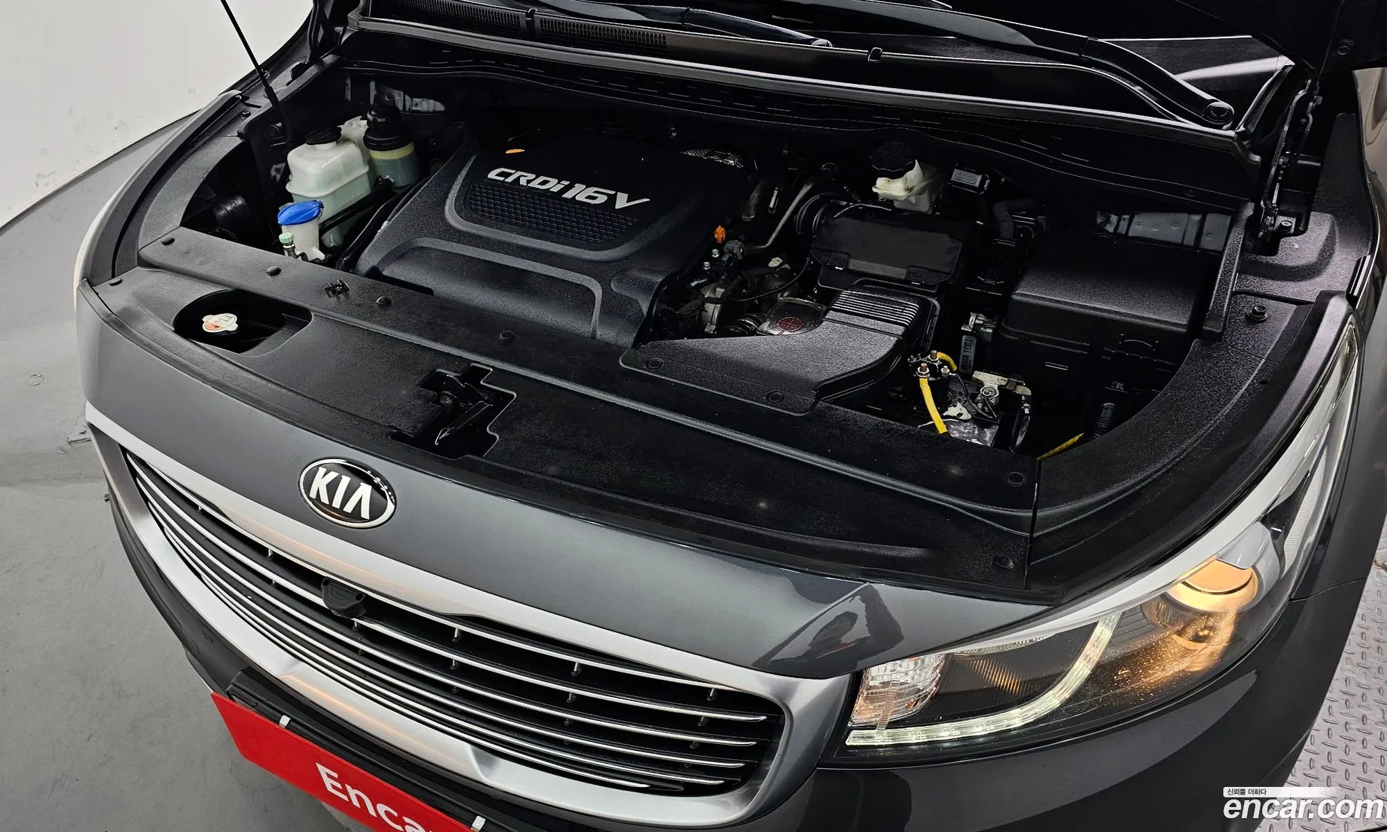 Kia All New Carnival 6-Seater Wheelchair Lift - фотография 14034759