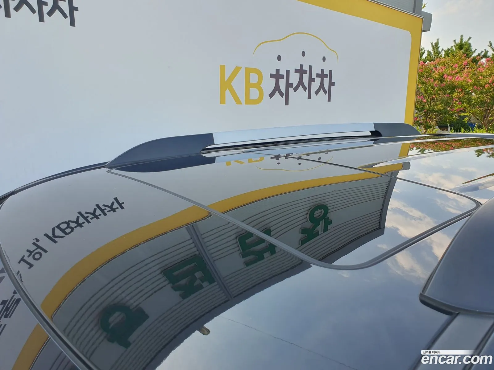 Korex Auto Trade - фотография 12531293