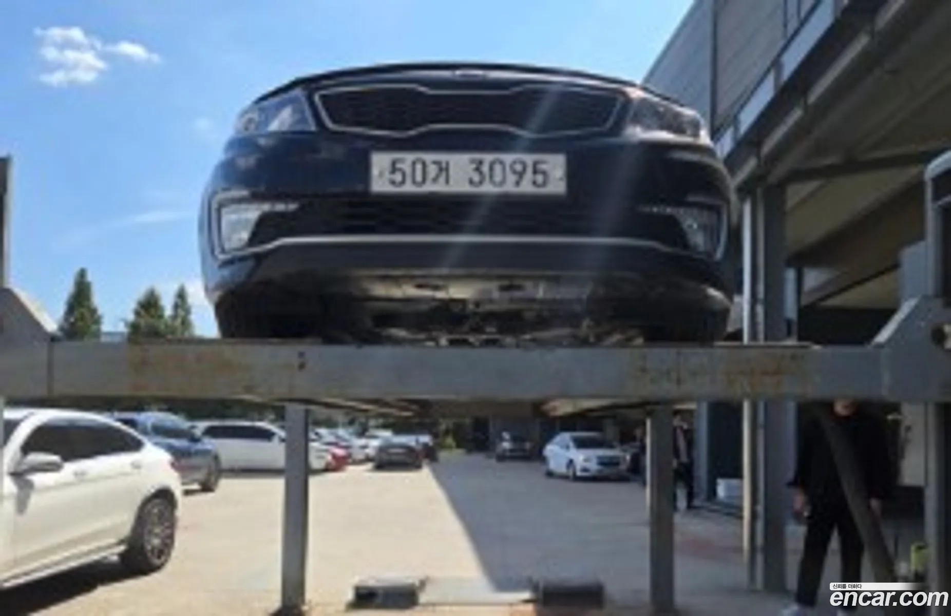 Kia K5 Hybrid Luxury - фотография 12430614