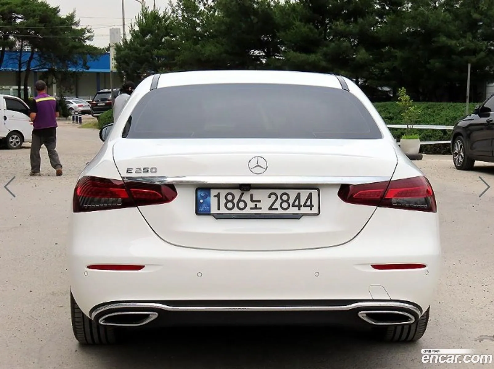 Mercedes E-Class W213 E250 Exclusive - фотография 13580947