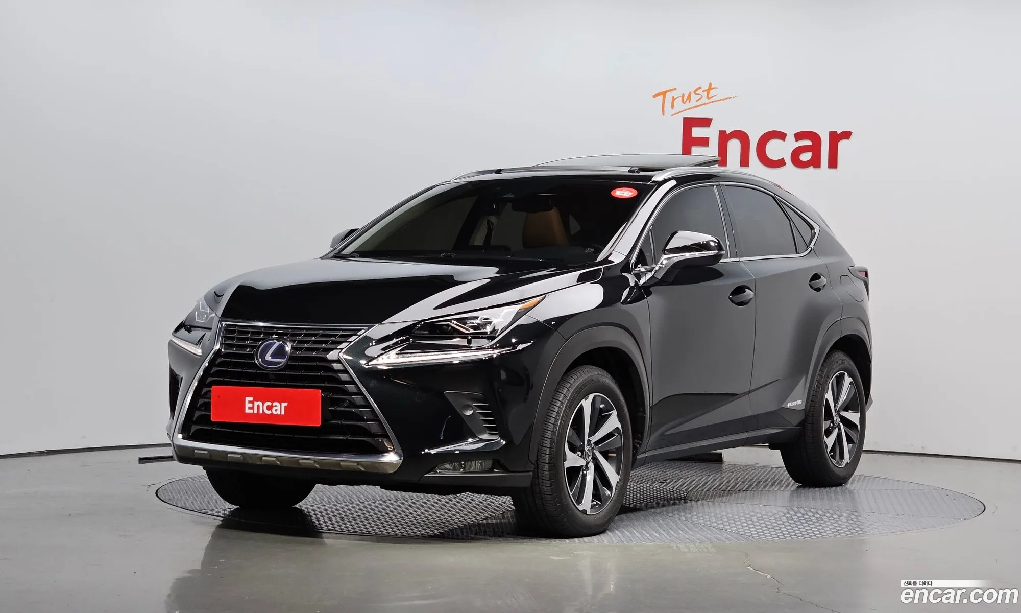 Lexus Nx300H Supreme - фотография 6411264