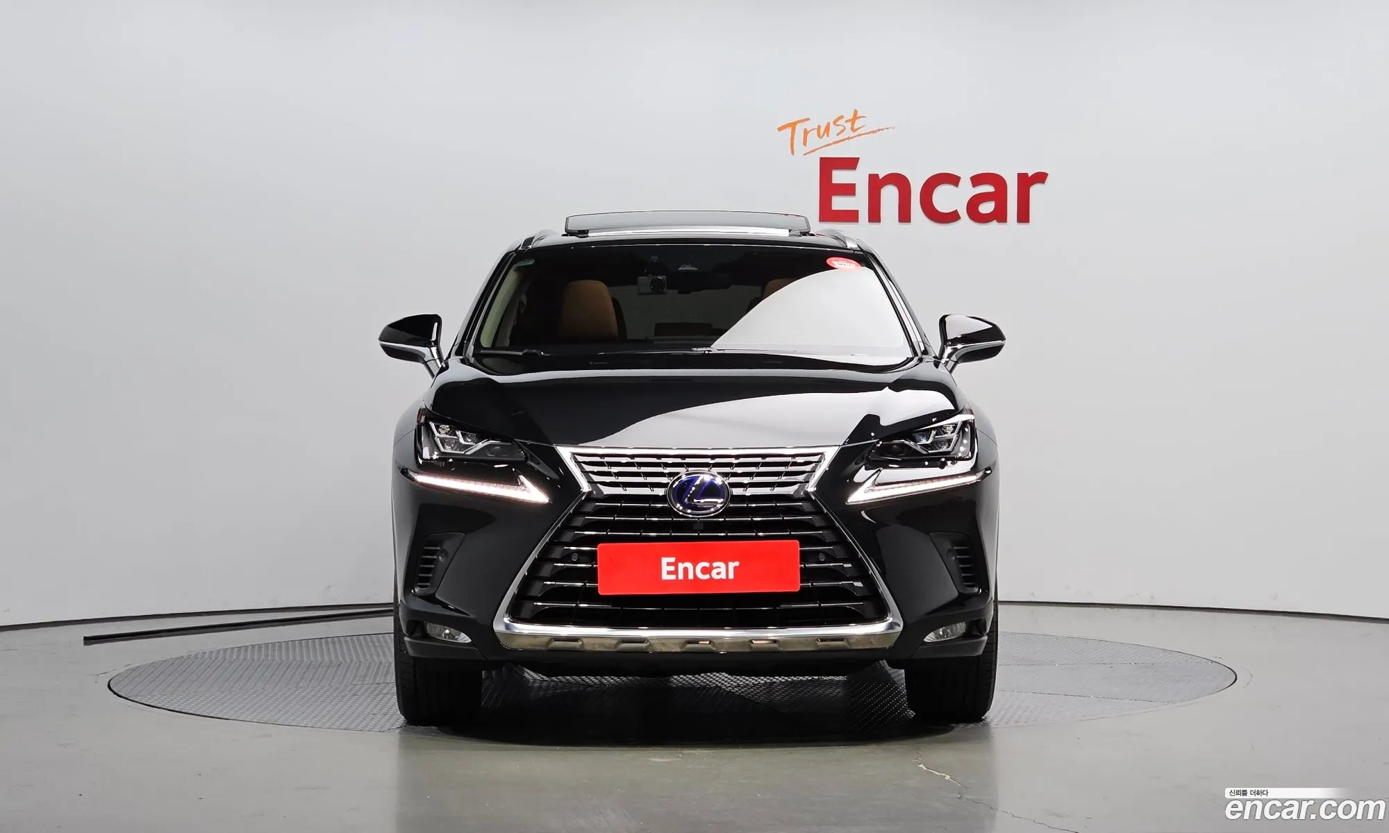 Lexus Nx300H Supreme - фотография 6411266