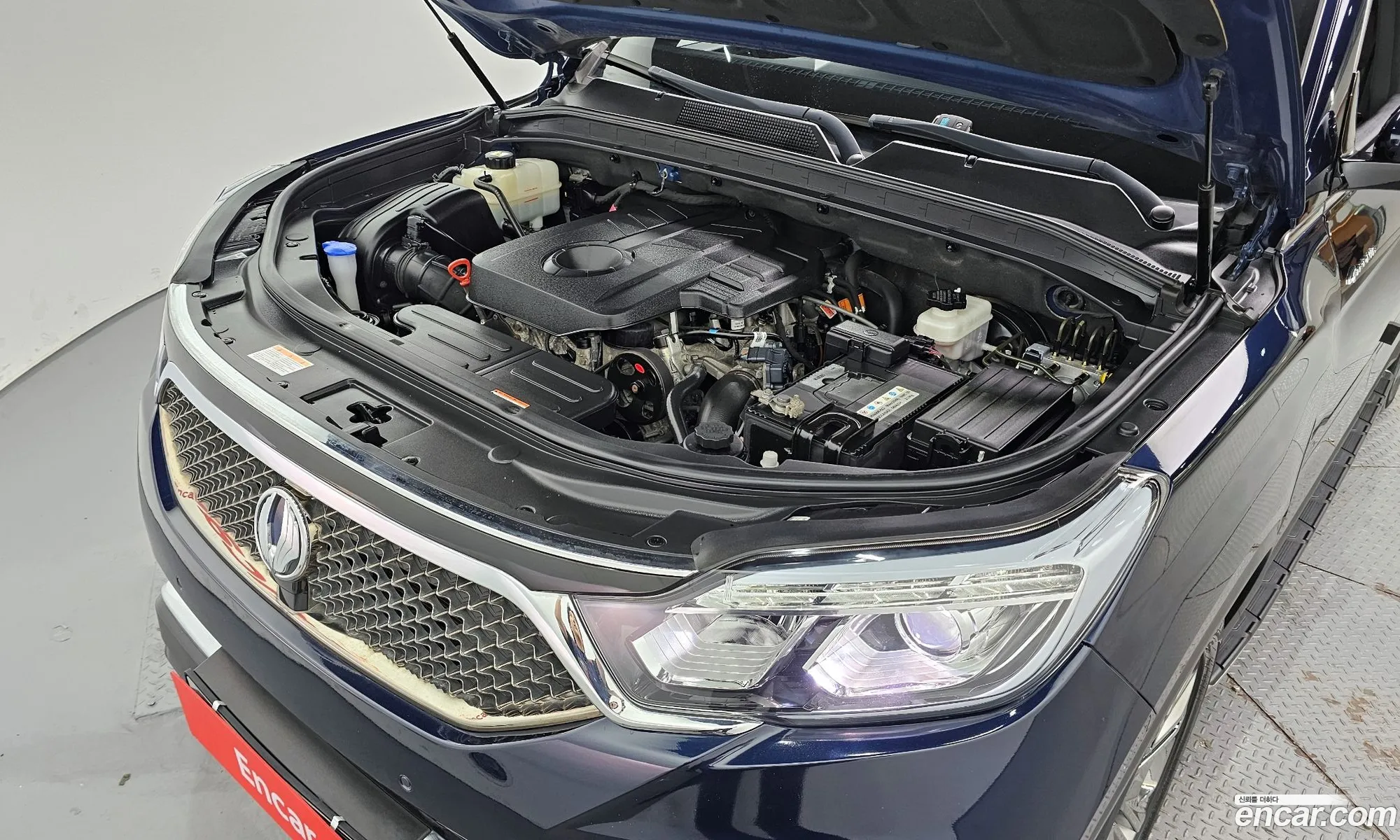 Kg Mobility Ssangyong G4 Rexton Diesel 22 4Wd Eurasia Edition - фотография 7233800