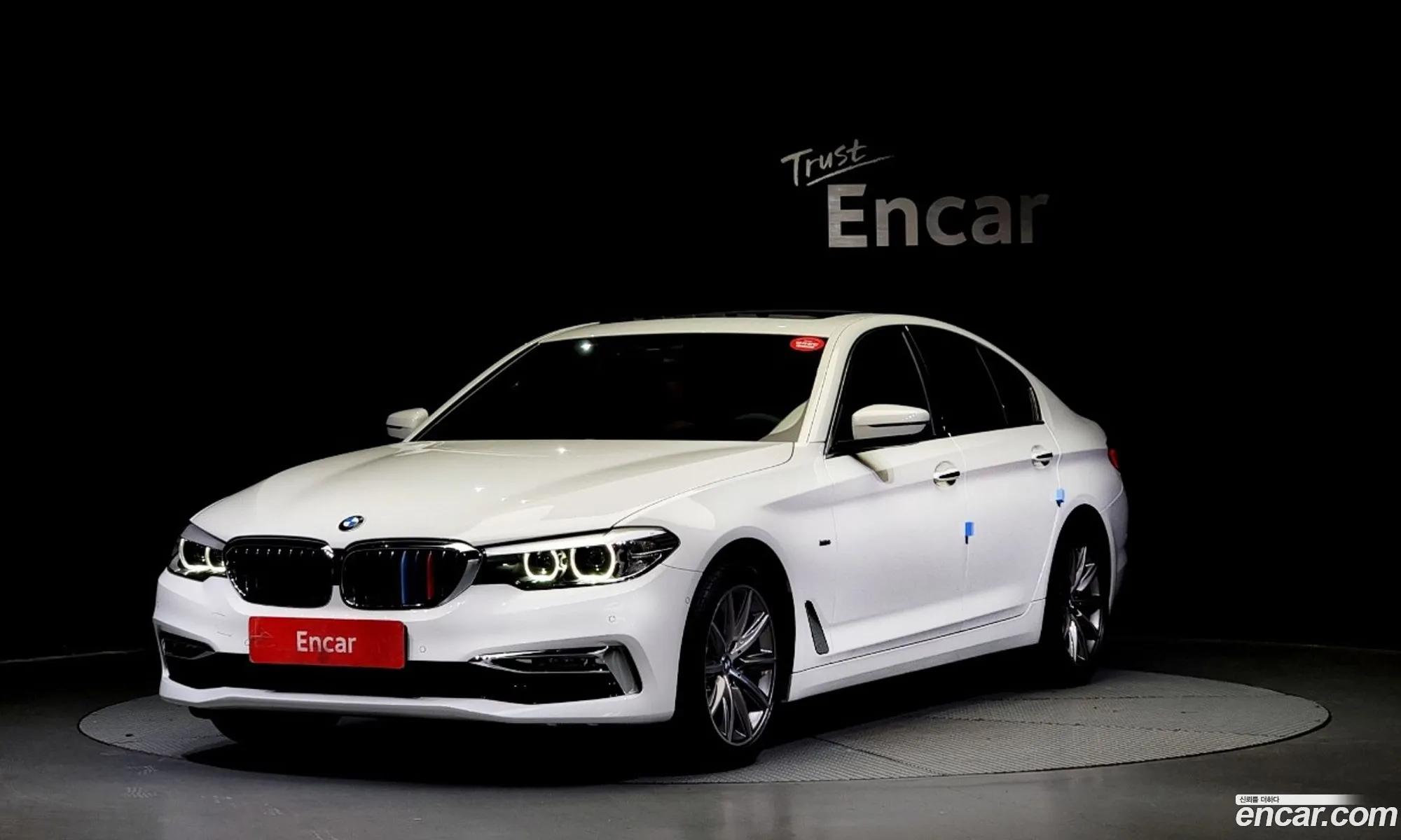 BMW 5 Series G30 520I Luxury - фотография 13982071