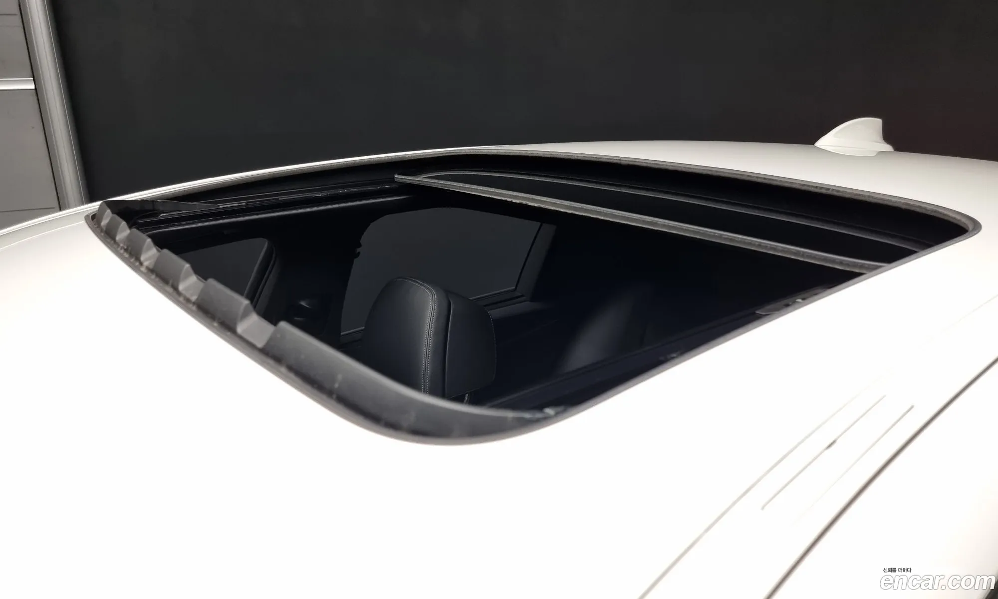 Korex Auto Trade - фотография 13608058