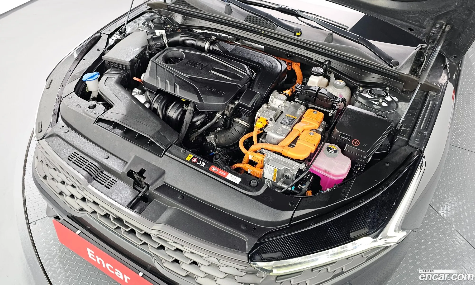 Kia K5 Hybrid 3Rd Generation Signature - фотография 13126437