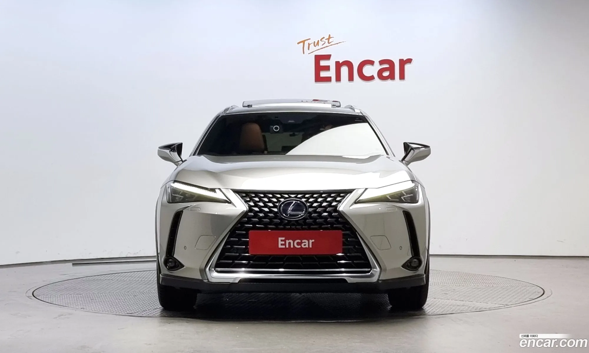 Lexus Ux250H 20 Awd - фотография 6411278