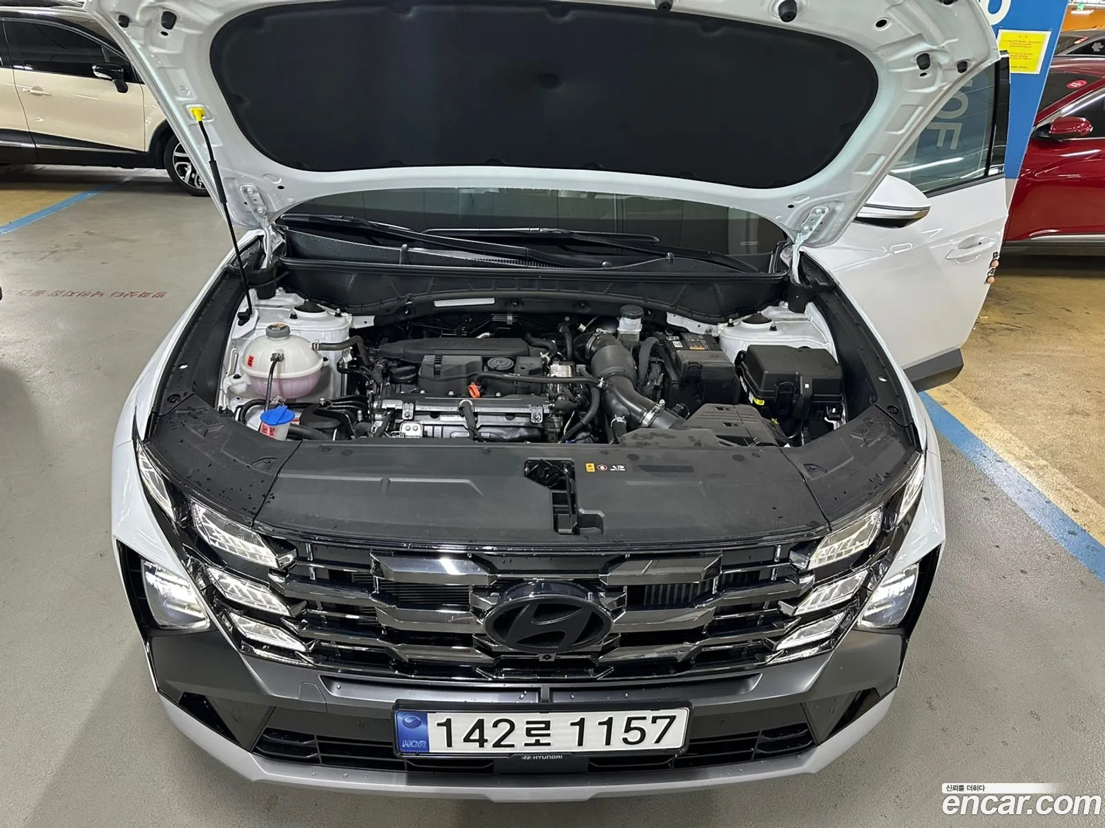 Korex Auto Trade - фотография 985205